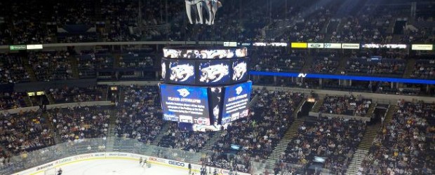 What would a healthy Nashville Predators team look like? One would hope it would look better than this. With key cogs Ryan Suter, Martin Erat and Matthew Lombardi out of the...