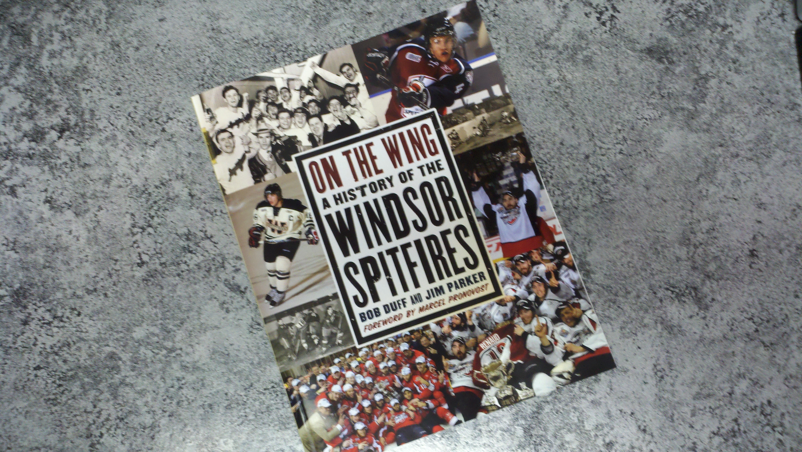 Spitfires Book