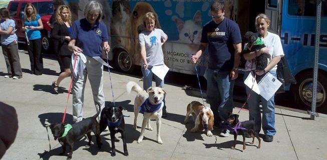 Adoption Day Pic2