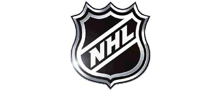 NHL logo banner