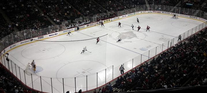 Preds Wild recap (Anna)