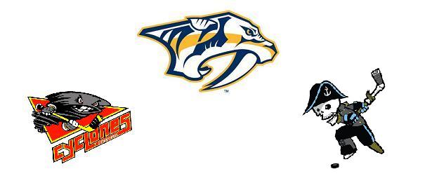 Preds organization BANNER